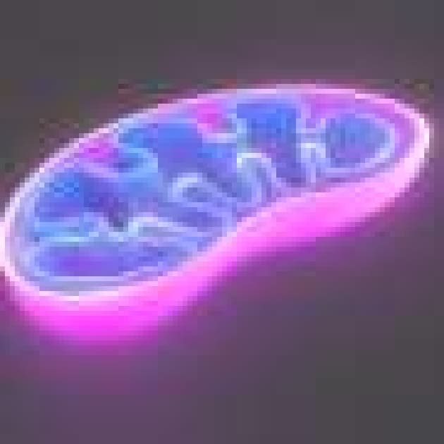 Solar-powered cells: Light-activated proton pumps generate cellular energy, extend life