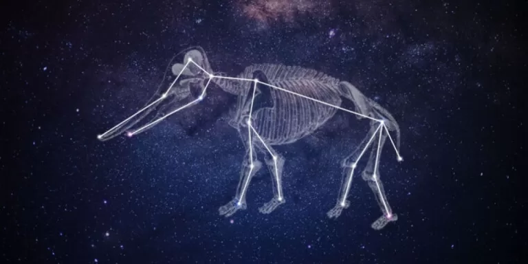 Mastodon—and the pros and cons of moving beyond Big Tech gatekeepers