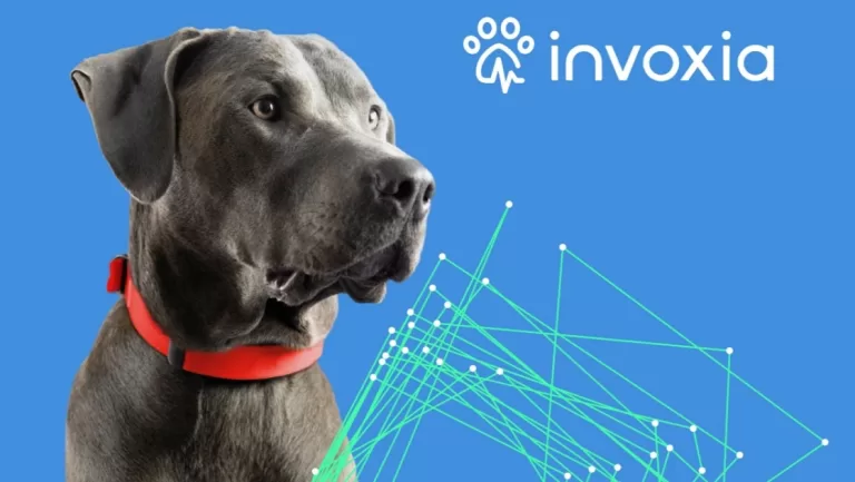 Invoxia unveils smart dog collar to monitor your pet’s heartbeat and location