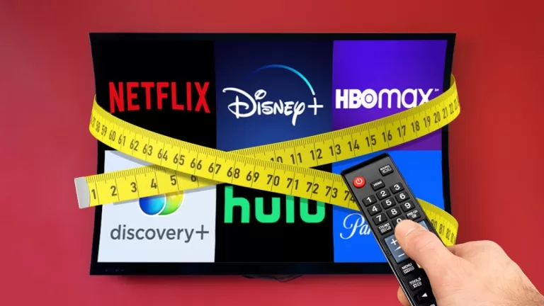 The Streaming Services That Are Priced Right – and the Ones That Miss the Mark | Chart