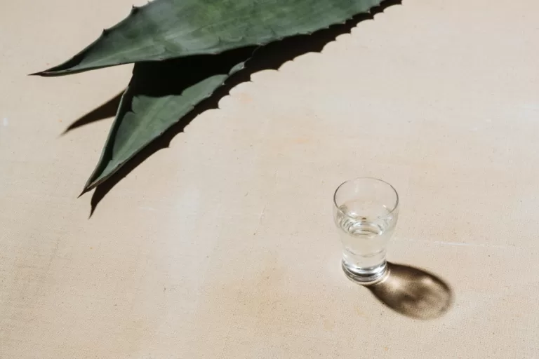 What Is Mezcal?