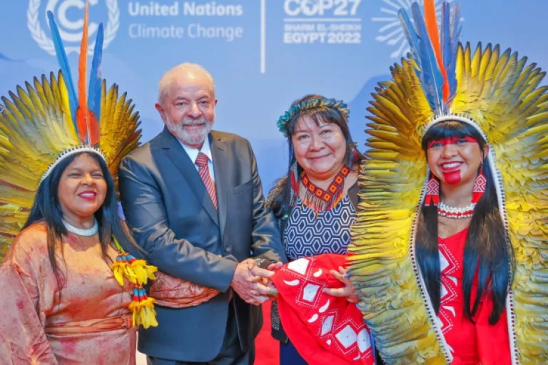 From deforestation to restoration: Policy plots path to Amazon recovery