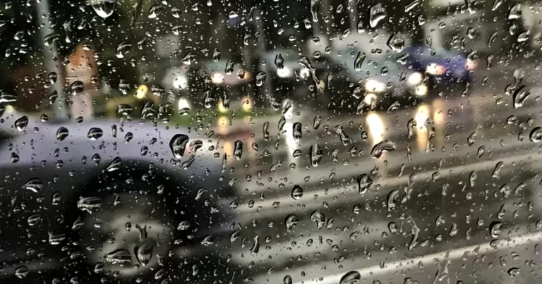 It’s Raining Cats and Dogs in California—but What Happens to All That Water?