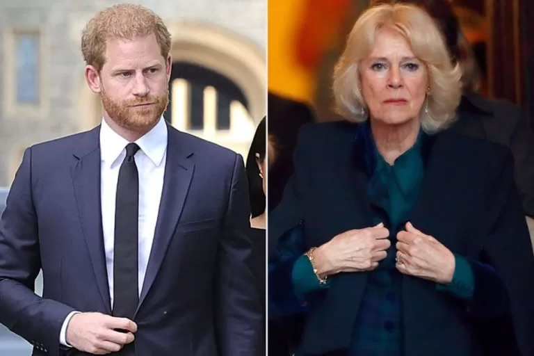 Prince Harry Explains Why He Described Queen Camilla as ‘Dangerous’ in Book: ‘Image to Rehabilitate’