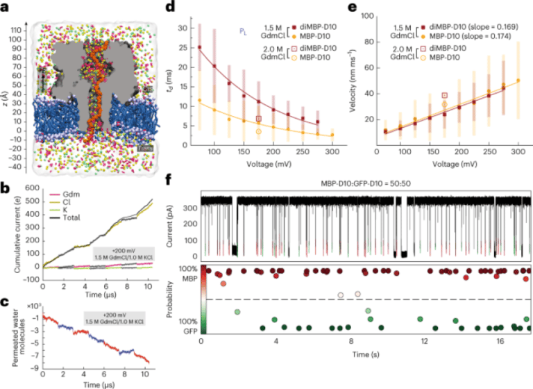 Protein identification using a digestion-free nanopore approach