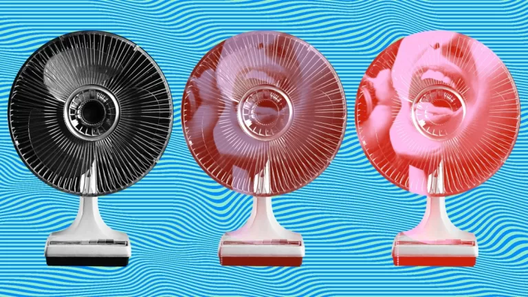 Why our brains hear words and songs in random noise