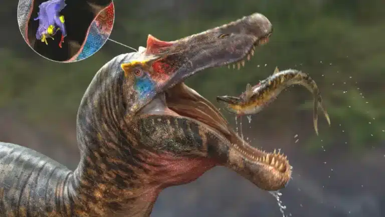 Paleontologists Reconstruct Brains of Two Spinosaur Species