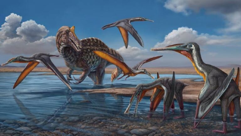 Paleontologists Discover New Pterosaur Species in Thailand