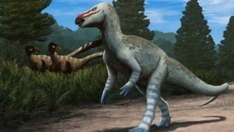 Paleontologists Describe New Species of Rhabdodontid Dinosaur