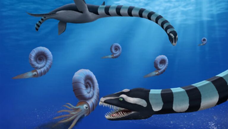 Paleontologists Identify Strange New Species of Elasmosaur: Traskasaura sandrae