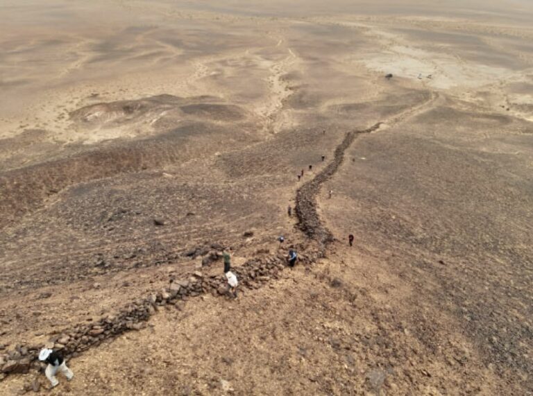 Archaeologists Uncover New Evidence about Construction and Purpose of Gobi Wall