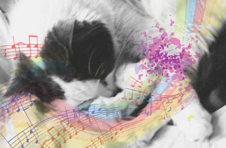 Scientists Identify Genetic Variants Associated with Increased Purring in Cats