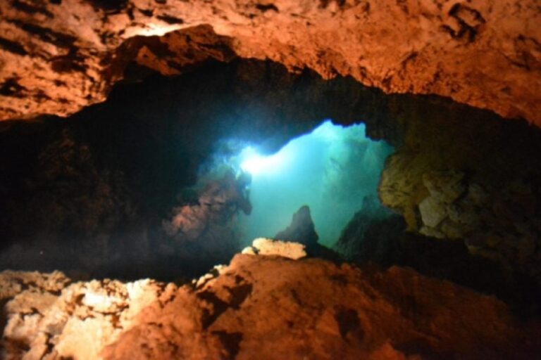 Scientists Discover Mysterious New Species of Crustacean in Underground Cave