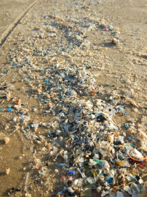 Researchers discover microplastics at all ocean depths
