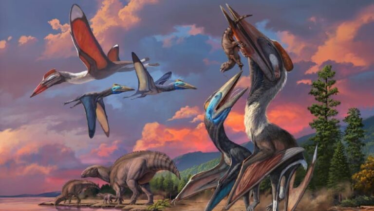 Two New Species of Pterosaurs Discovered in Mongolia