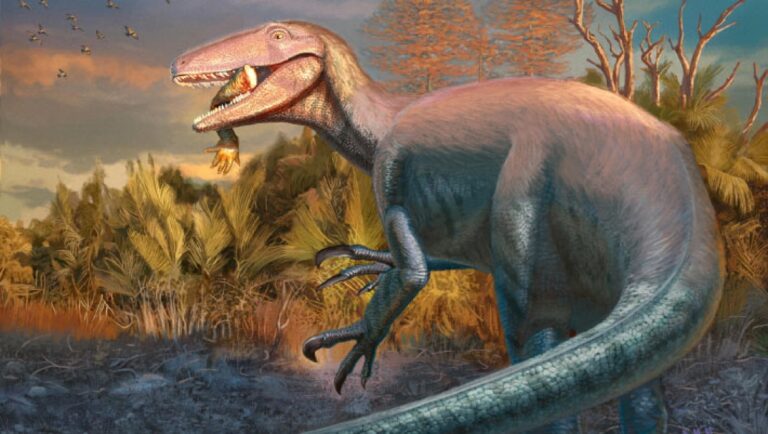 New Species of Carnivorous Dinosaur Identified in Argentina