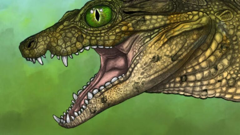 New Crocodyliform Species from Cretaceous Period Unearthed in Montana