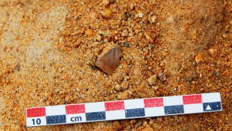 Archaeologists Find 2.75-Million-Year-Old Stone Tools in Kenya