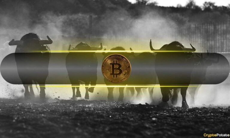 Is Today’s $165B Crypto Market Rally The Start of a Massive Bull Run?