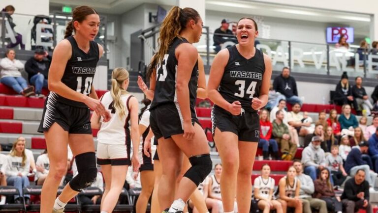 High school girls basketball: Big 2nd quarter gives Wasatch win over Cedar Valley