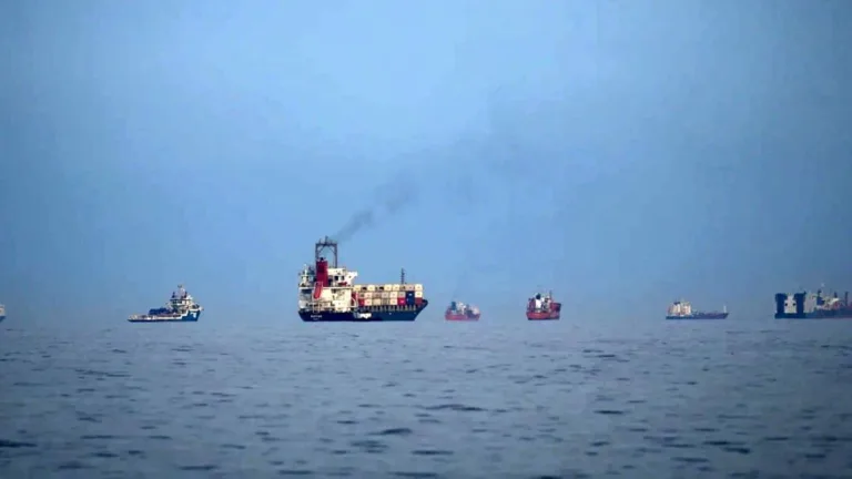 India Expresses Concern Over Firing on Indian Ships in Hormuz; Steps Up Efforts for Safe Passage & Evacuation of Nationals
