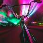 Psychedelic drug screen in mice may overlook stress and brain changes